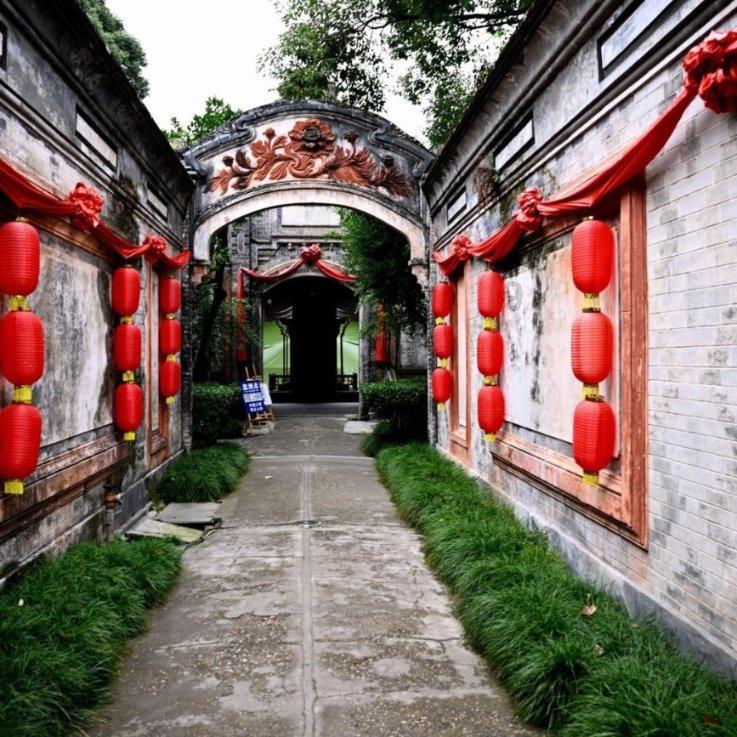 探索奇妙世界,与狗被车撞了怎么办蜗牛一起探寻答案